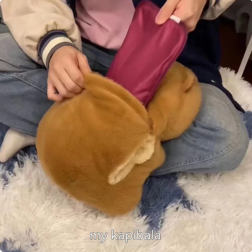 Capybara Hand Warmer Plush Pillow